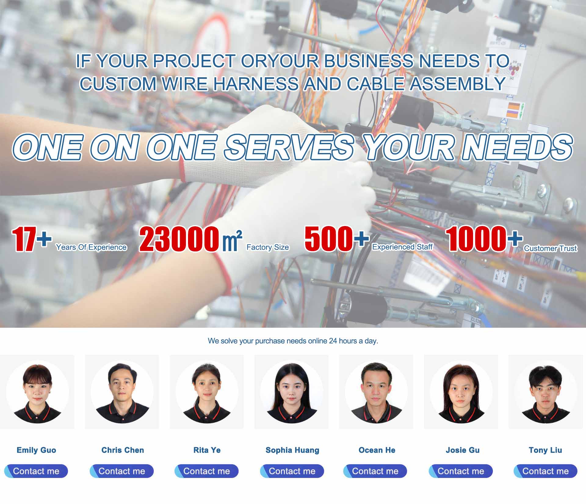 bodio wiring harness